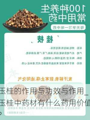 玉桂的作用与功效与作用_玉桂中药材有什么药用价值?