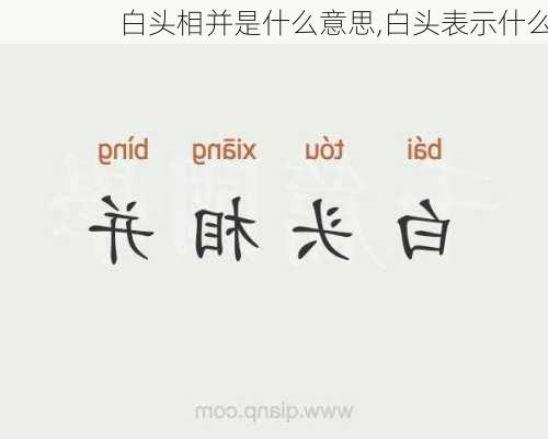 白头相并是什么意思,白头表示什么