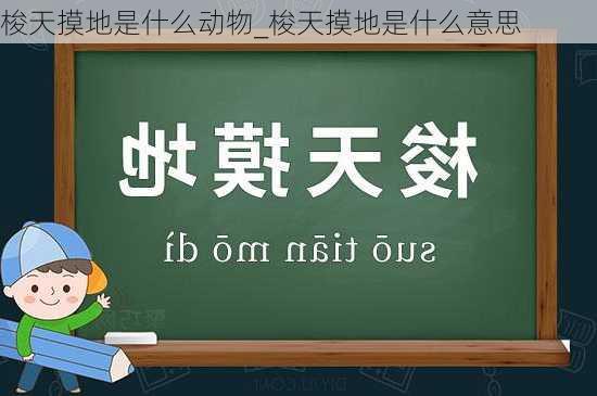 梭天摸地是什么动物_梭天摸地是什么意思