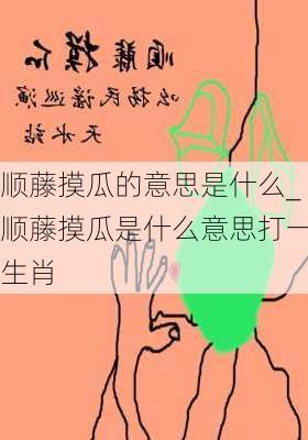 顺藤摸瓜的意思是什么_顺藤摸瓜是什么意思打一生肖