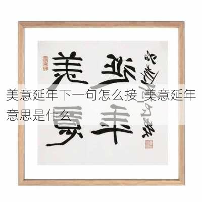 美意延年下一句怎么接_美意延年意思是什么