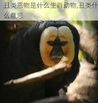 丑类恶物是什么生肖动物,丑类什么意思