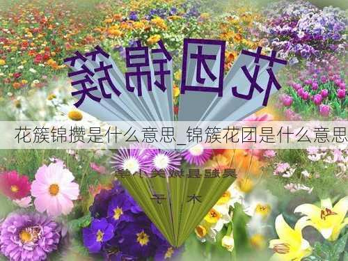 花簇锦攒是什么意思_锦簇花团是什么意思