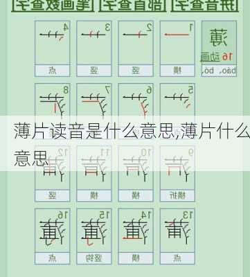 薄片读音是什么意思,薄片什么意思