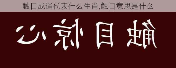 触目成诵代表什么生肖,触目意思是什么