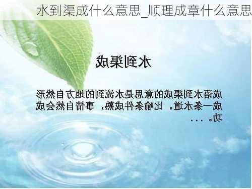 水到渠成什么意思_顺理成章什么意思