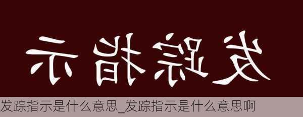 发踪指示是什么意思_发踪指示是什么意思啊