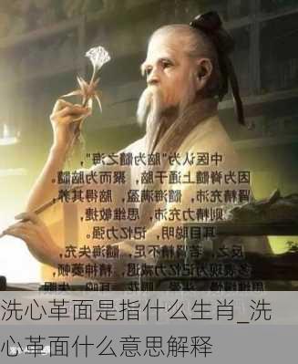 洗心革面是指什么生肖_洗心革面什么意思解释