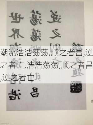 潮流浩浩荡荡,顺之者昌,逆之者亡,浩浩荡荡,顺之者昌,逆之者亡