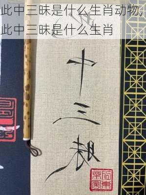 此中三昧是什么生肖动物,此中三昧是什么生肖