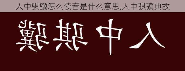 人中骐骥怎么读音是什么意思,人中骐骥典故