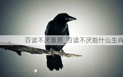 百读不厌意思_百读不厌指什么生肖