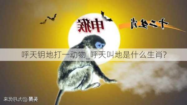 呼天钥地打一动物_呼天叫地是什么生肖?