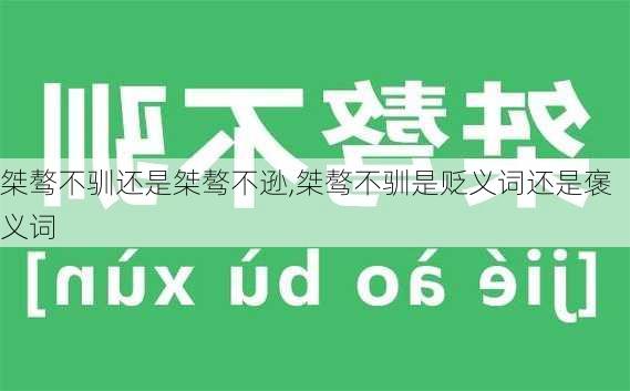 桀骜不驯还是桀骜不逊,桀骜不驯是贬义词还是褒义词