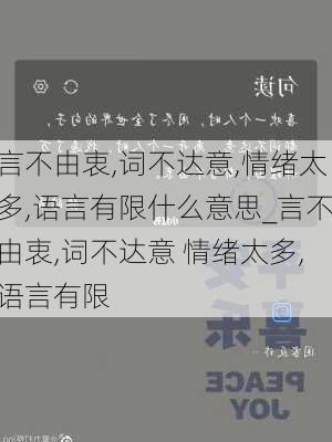 言不由衷,词不达意,情绪太多,语言有限什么意思_言不由衷,词不达意 情绪太多,语言有限