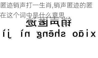 匿迹销声打一生肖,销声匿迹的匿在这个词中是什么意思