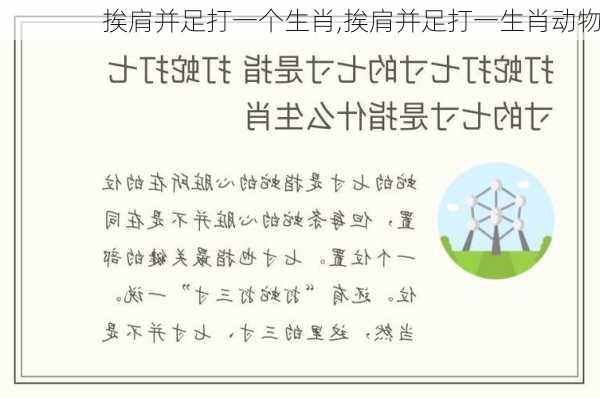 挨肩并足打一个生肖,挨肩并足打一生肖动物