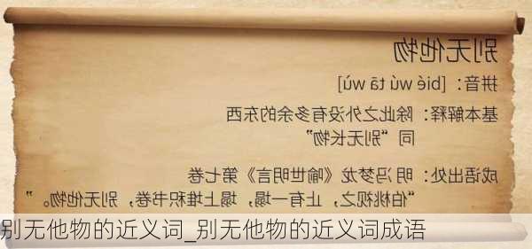 别无他物的近义词_别无他物的近义词成语