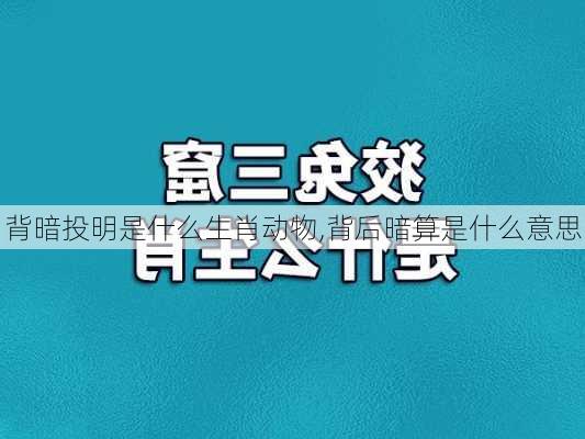 背暗投明是什么生肖动物,背后暗算是什么意思