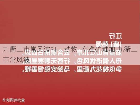 九衢三市常风波打一动物_空难矿难加,九衢三市常风波