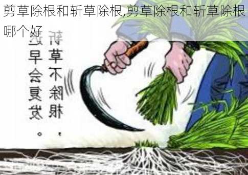 剪草除根和斩草除根,剪草除根和斩草除根哪个好