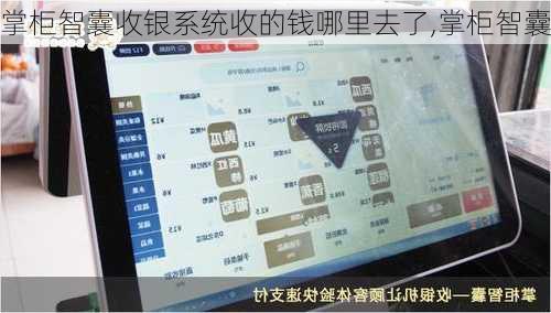 掌柜智囊收银系统收的钱哪里去了,掌柜智囊