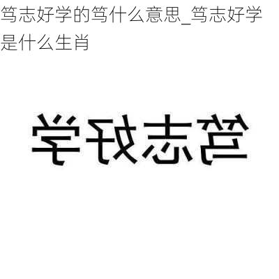 笃志好学的笃什么意思_笃志好学是什么生肖