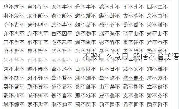 不毁什么意思_毁啥不啥成语