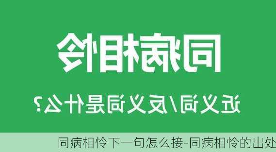 同病相怜下一句怎么接-同病相怜的出处