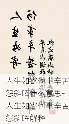 人生如寄何事辛苦怨斜晖什么意思-人生如寄何事辛苦怨斜晖解释