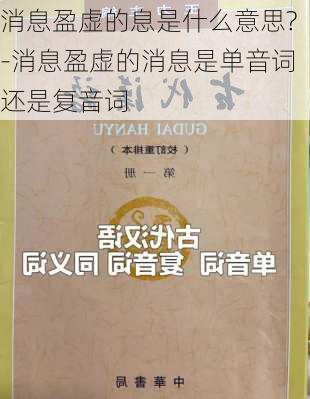 消息盈虚的息是什么意思?-消息盈虚的消息是单音词还是复音词